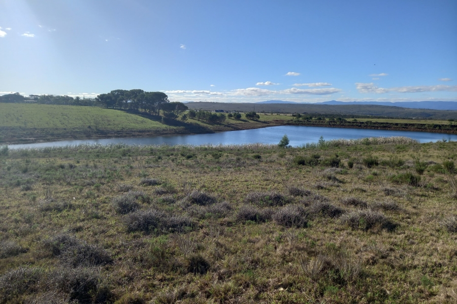 4 Bedroom Property for Sale in Kabeljauws Eastern Cape